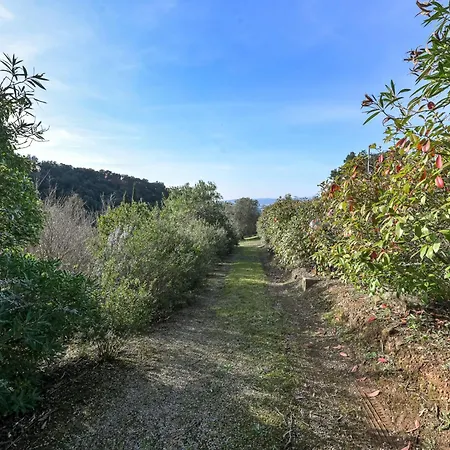 Villa Augusta By Interhome Scarlino